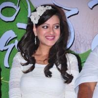 Madalasa Sharma - Feel My Love Movie Press Meet - Pictures | Picture 96584